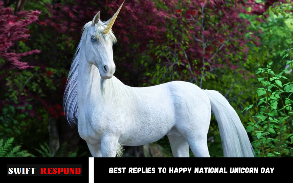 15+ Best Replies to Happy National Unicorn Day Best Replies to Happy National Unicorn Day